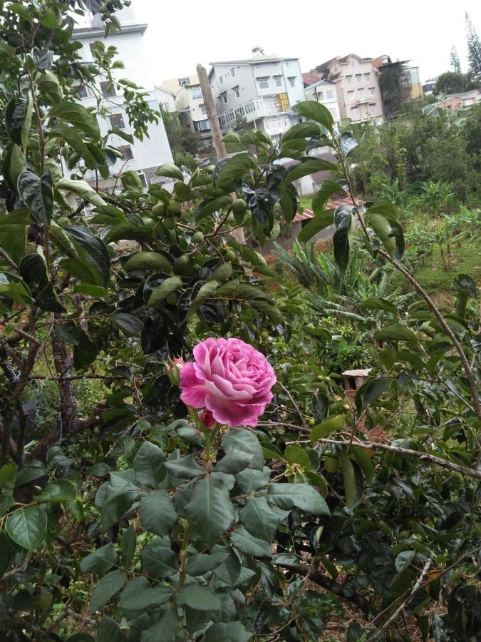 Nha Cua Soc Διαμέρισμα Νταλάτ Εξωτερικό φωτογραφία