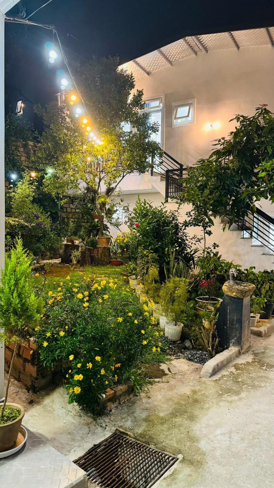 Nha Cua Soc Διαμέρισμα Νταλάτ Εξωτερικό φωτογραφία