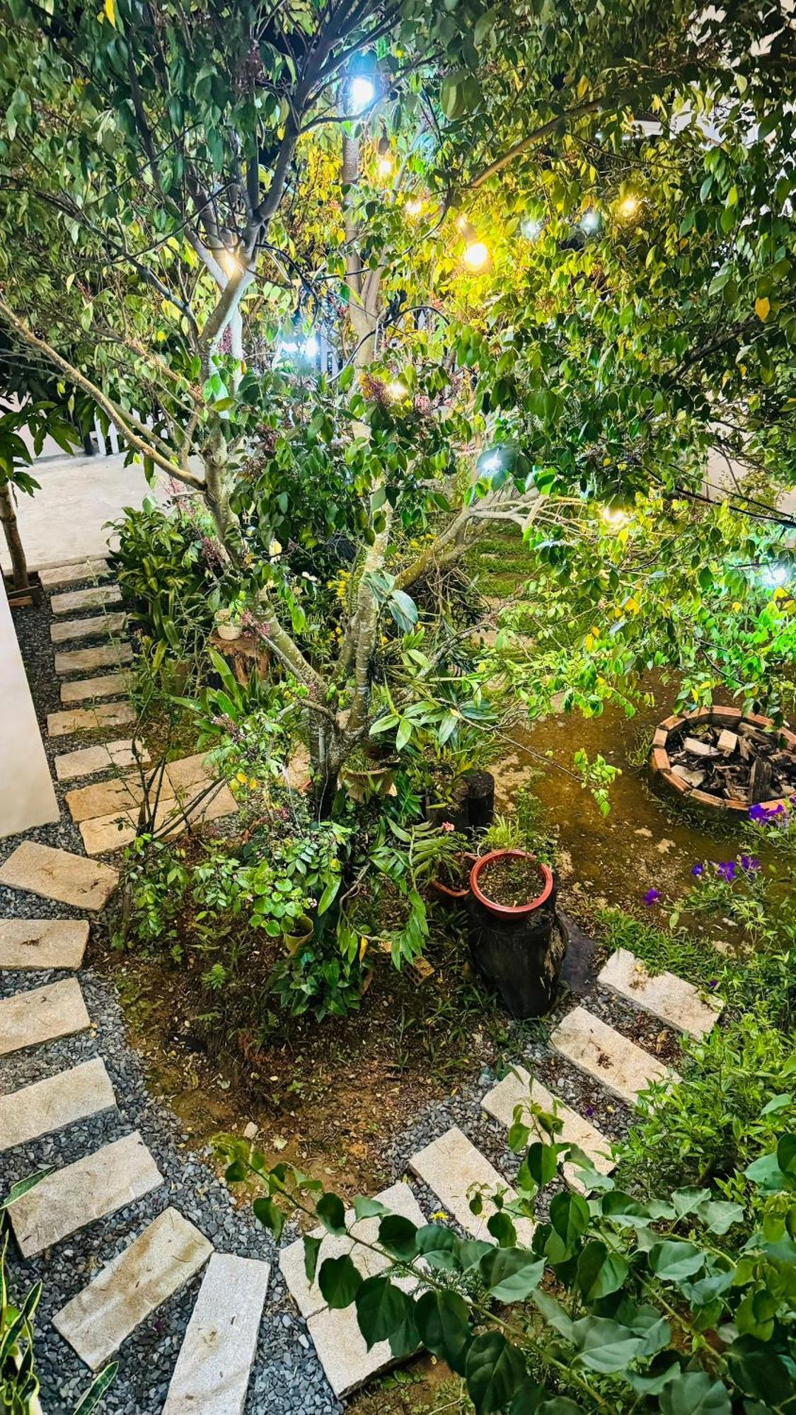 Nha Cua Soc Διαμέρισμα Νταλάτ Εξωτερικό φωτογραφία